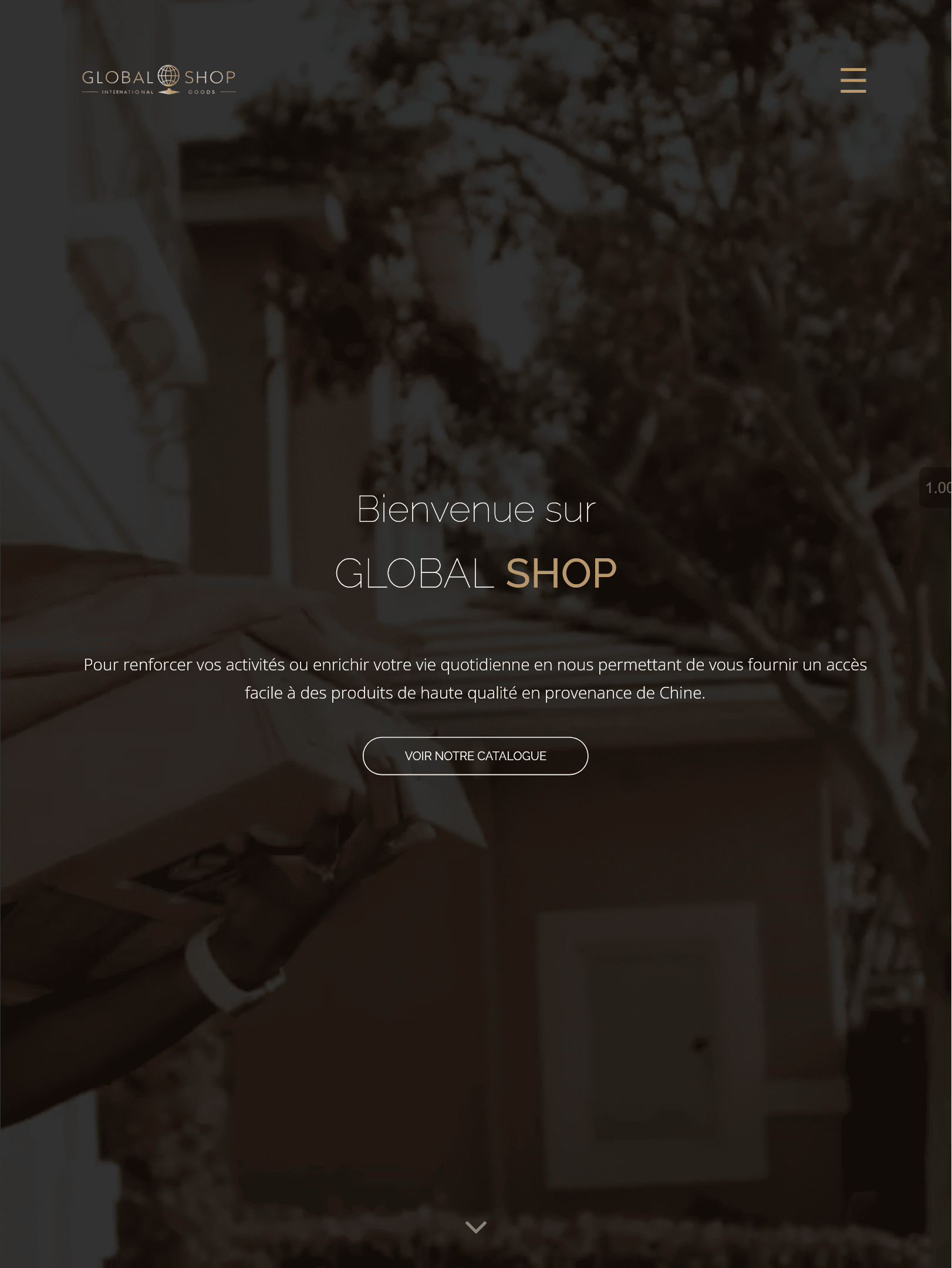 Global Shop